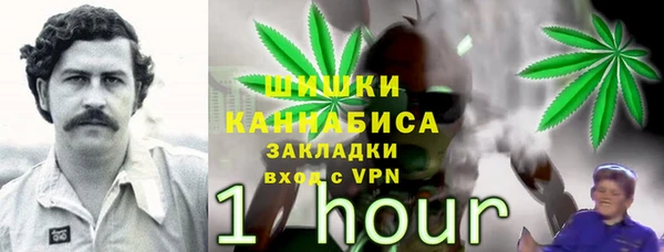 бутират Белокуриха
