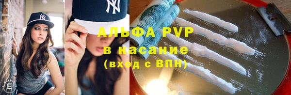 PSILOCYBIN Балабаново