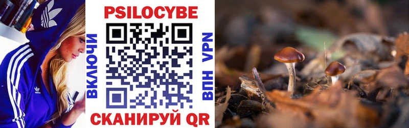 купить наркотик  блэк спрут сайт  Галлюциногенные грибы Psilocybine cubensis  Олёкминск 